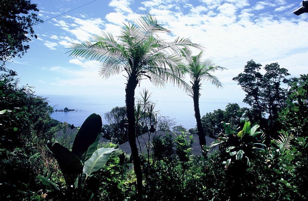 Ishiyama Rikyu Gosoku No Kutsu Amakusa (Amakusa Islands) Bagian luar foto